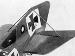 Roland C.IIa Final 'circles' (0043-04) Tailplane detail